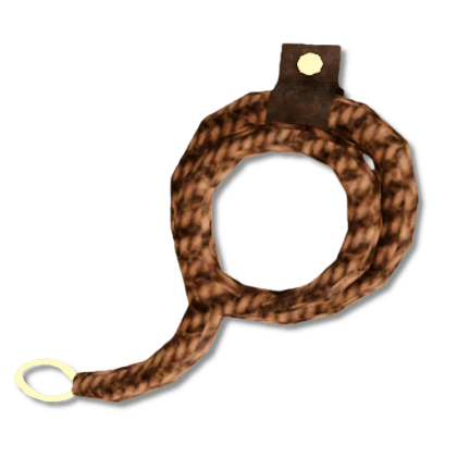 Dog Leash