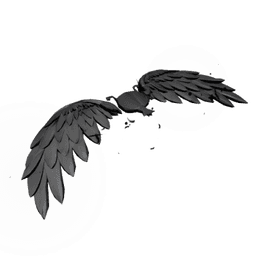 Black Winged Board