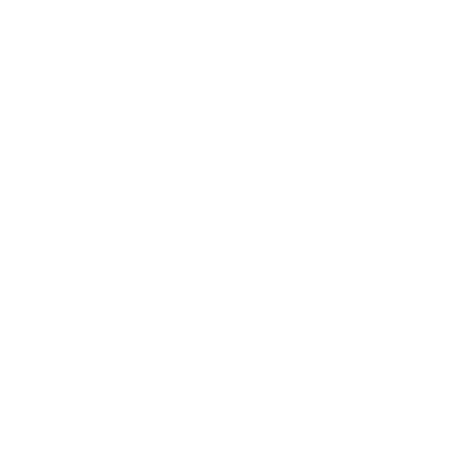 Dash