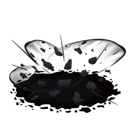 Coal