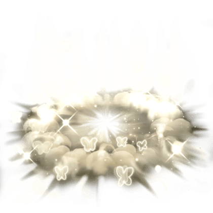 Lilies Bloom