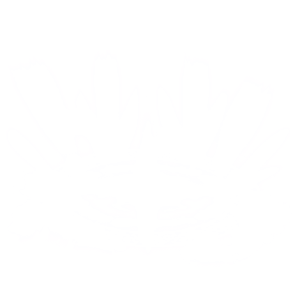 Purity Foundation