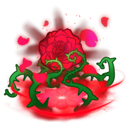 Rose Bloom