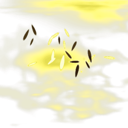 Seed Scatter