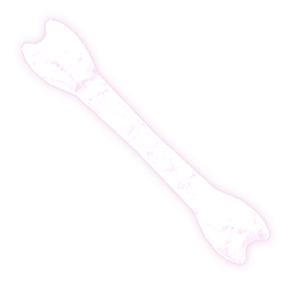 Bone