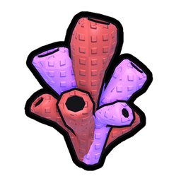 Coral Fruit