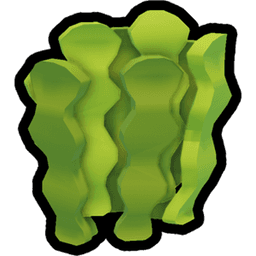 Kelp