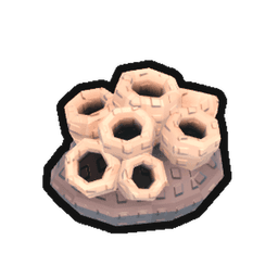 Ancient Coral Fossil