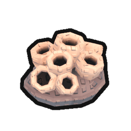 Ancient Coral Fossil