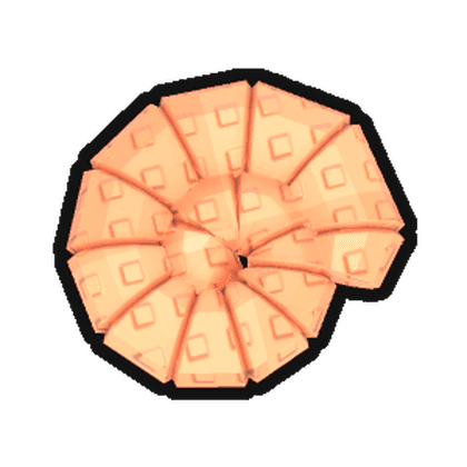 Clam Scallop Fossil