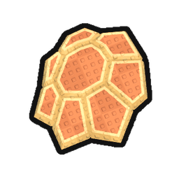 Turtle Shell Fossil