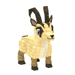Alpine Chamois