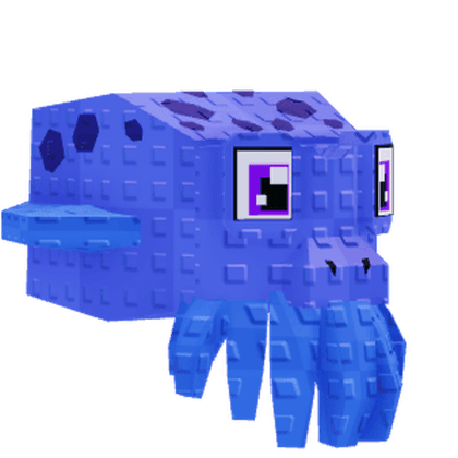 Bobtail Squid