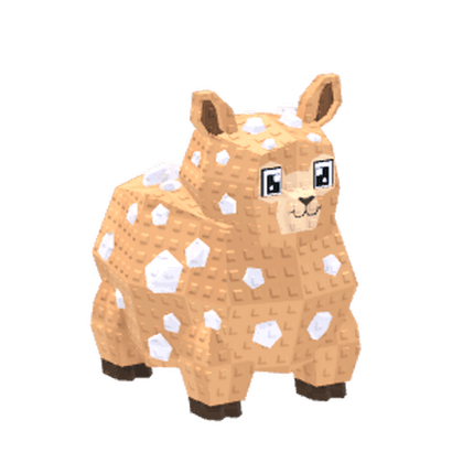 Boulder Paca