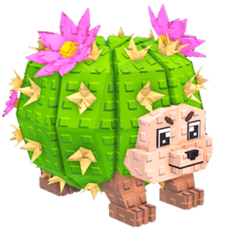 Cactus Hedgehog