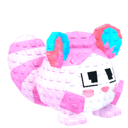 Candy Chinchilla