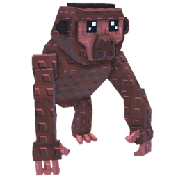 Chimpanzee