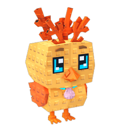 Coral Chick