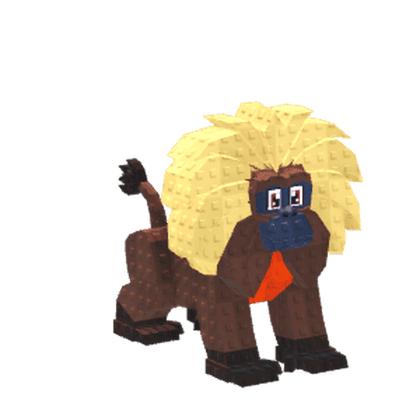 Gelada