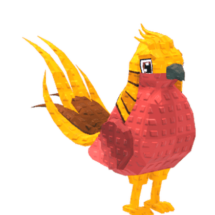 Golden Pheasant