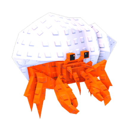 Hermit Crab