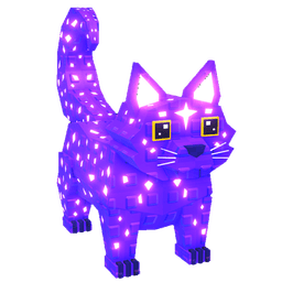 Nova Cat