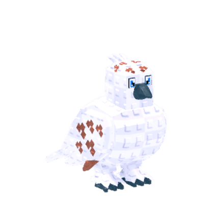 Snowcap Bird