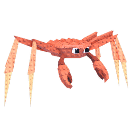 Spider Crab