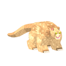 Titan Cuscus