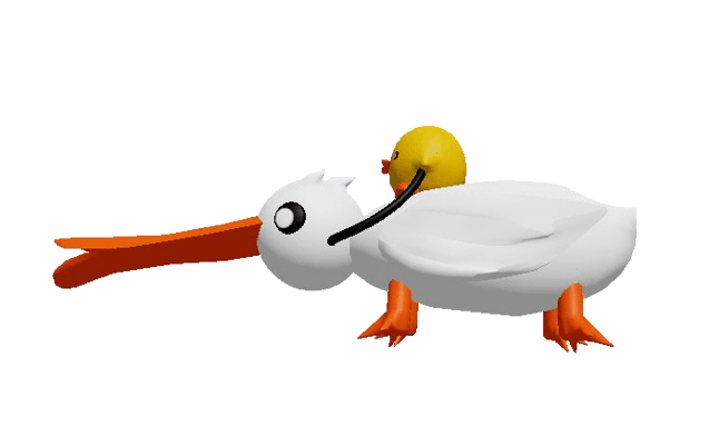 Duck