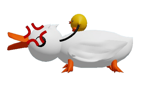 Duck