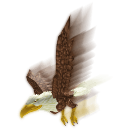 Bird of Prey