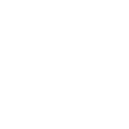 Cobwebs