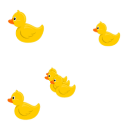 Ducks
