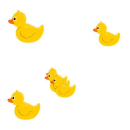 Ducks