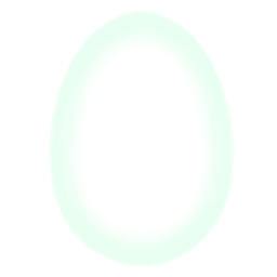 Egg Protection