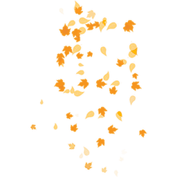 Fall