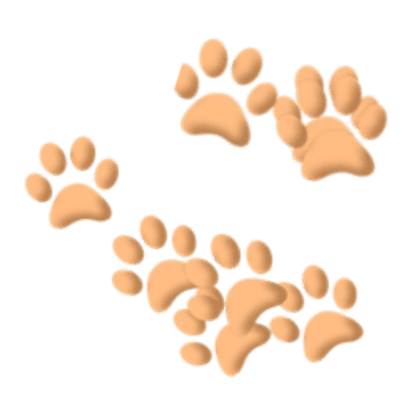 Paw prints