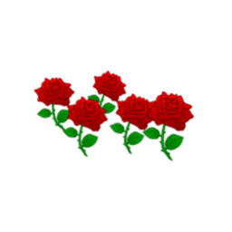 Roses