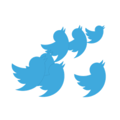 Twitter Birds