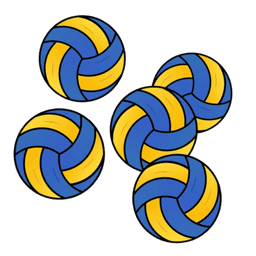 Volleyballs