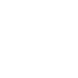 White sparkles