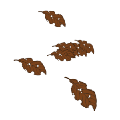 Wilted Leaves