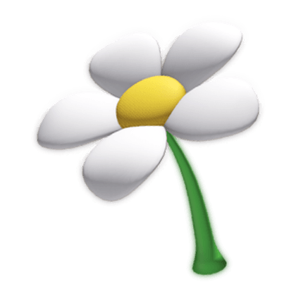 Big Flower
