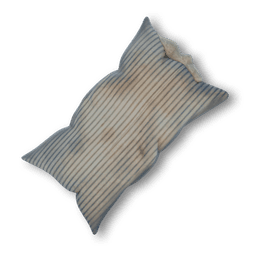 Crusty Old Pillow