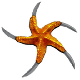 Starfish Shuriken