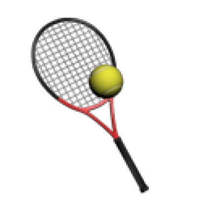Tennis Racket