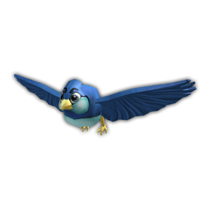 Bird