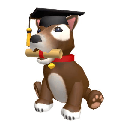 Diploma Dog