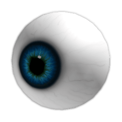 Eye